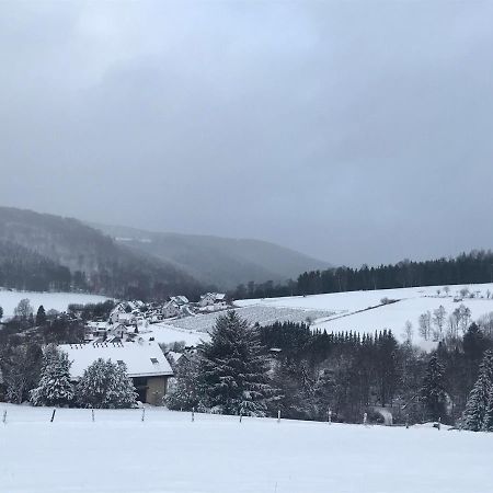 Appartement Familie Willems Winterberg 2 Kültér fotó