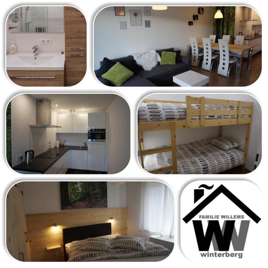 Appartement Familie Willems Winterberg 2 Kültér fotó
