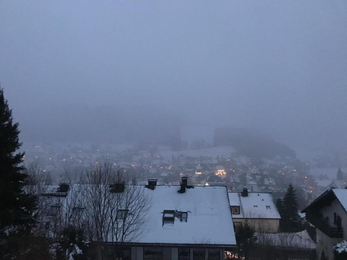 Appartement Familie Willems Winterberg 2 Kültér fotó