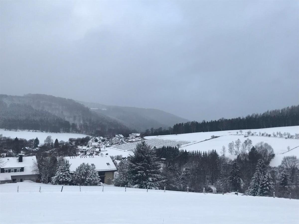 Appartement Familie Willems Winterberg 2 Kültér fotó