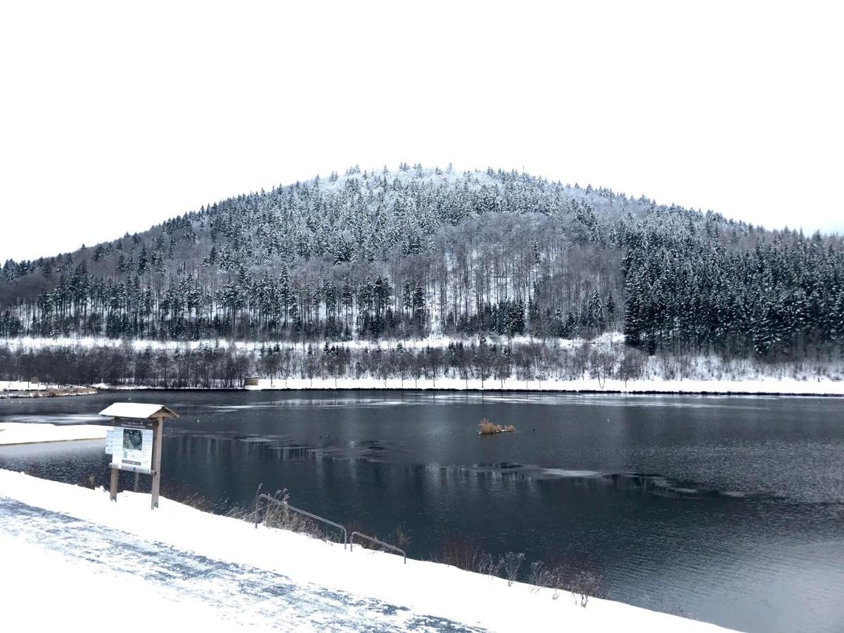 Appartement Familie Willems Winterberg 2 Kültér fotó