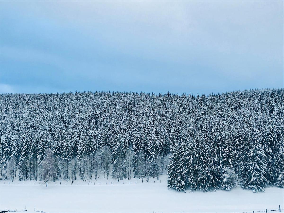 Appartement Familie Willems Winterberg 2 Kültér fotó