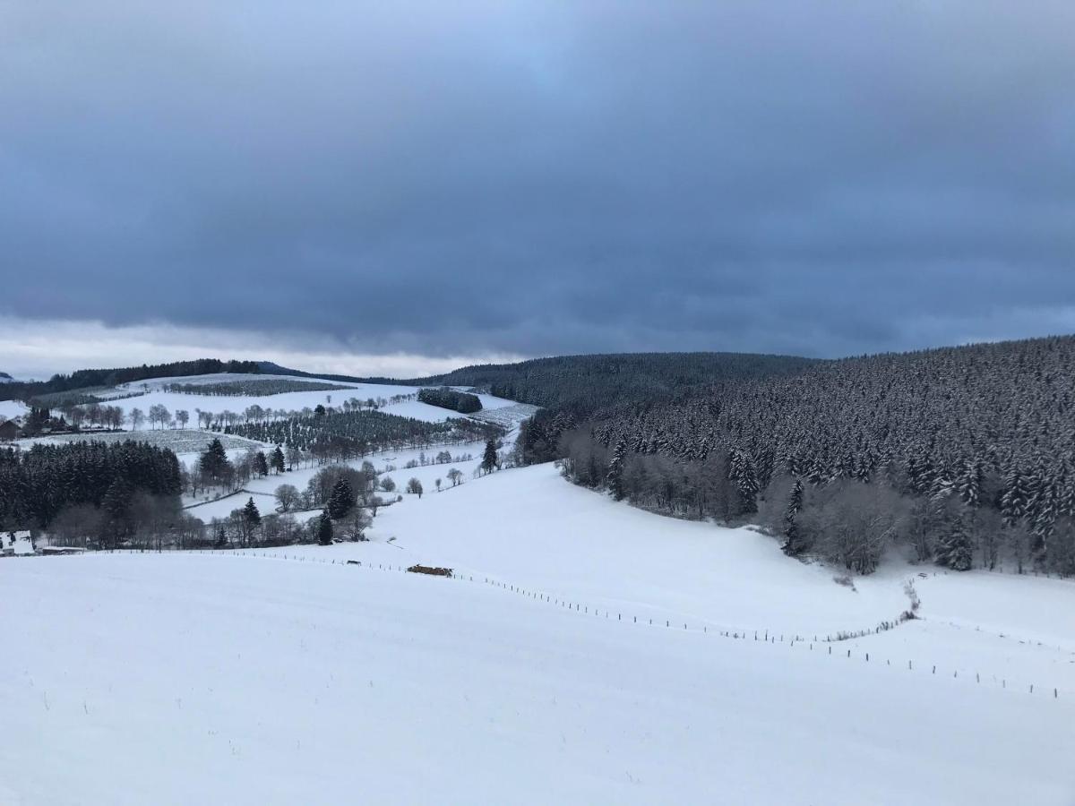 Appartement Familie Willems Winterberg 2 Kültér fotó