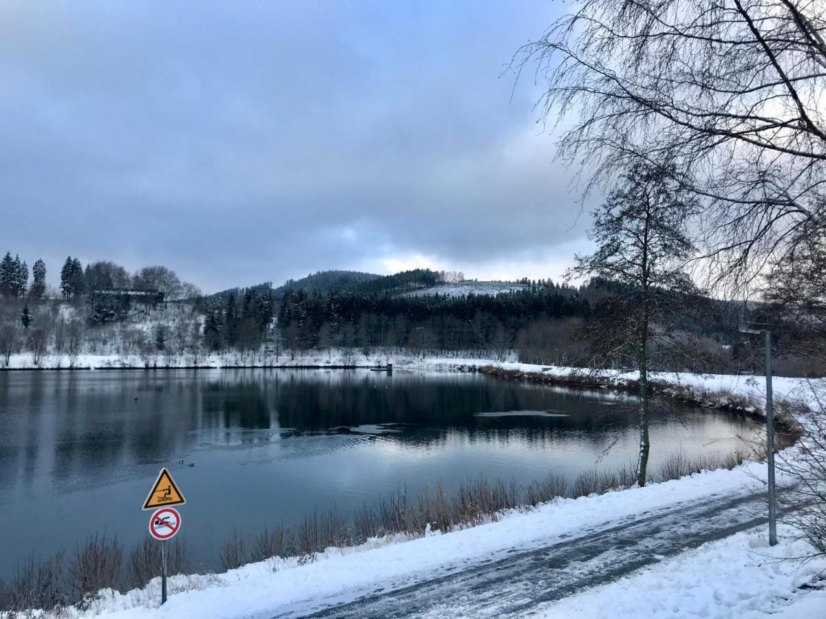 Appartement Familie Willems Winterberg 2 Kültér fotó