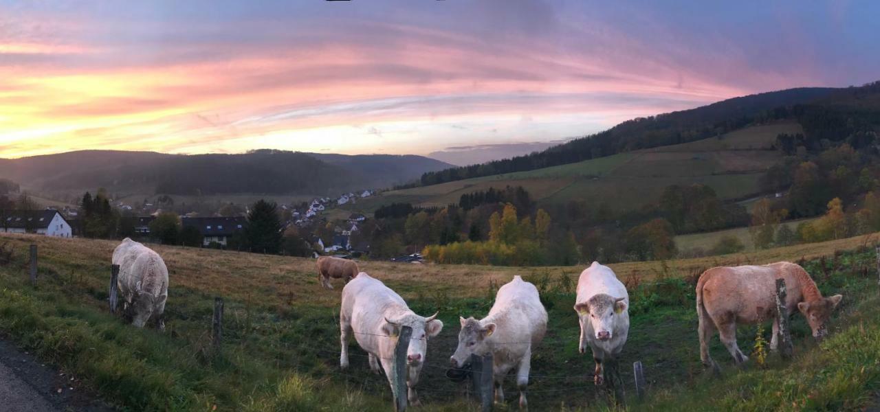 Appartement Familie Willems Winterberg 2 Kültér fotó